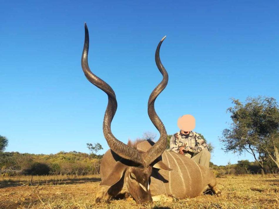 10-Day Plains Game Extravaganza Hunting in South Africa