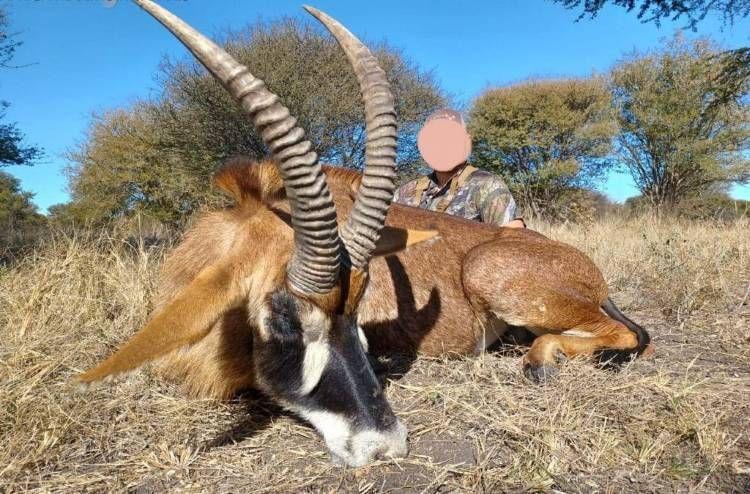 Leopard Hunting in Namibia & Brown Hyena Cancelation Hunt