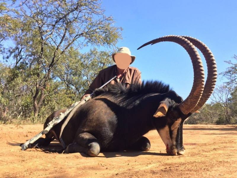 Leopard Hunting in Namibia & Brown Hyena Cancelation Hunt