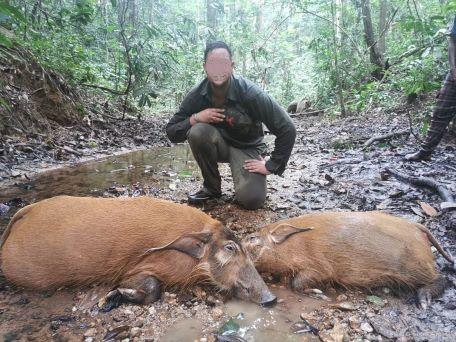 Leopard Hunting in Namibia & Brown Hyena Cancelation Hunt