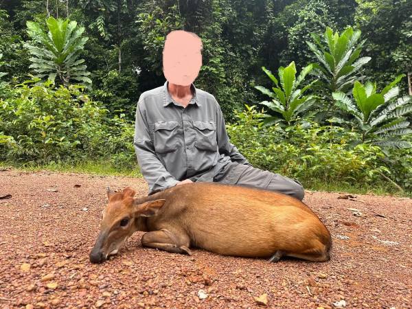 Leopard Hunting in Namibia & Brown Hyena Cancelation Hunt