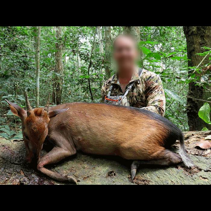 Leopard Hunting in Namibia & Brown Hyena Cancelation Hunt