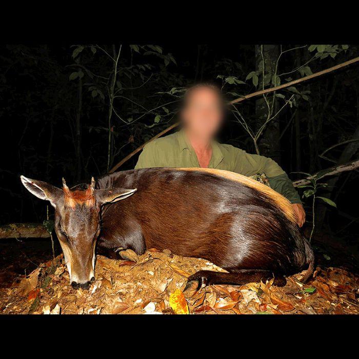Leopard Hunting in Namibia & Brown Hyena Cancelation Hunt