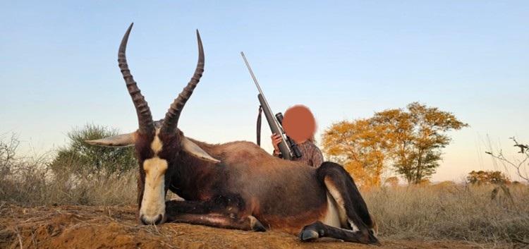 Leopard Hunting in Namibia & Brown Hyena Cancelation Hunt