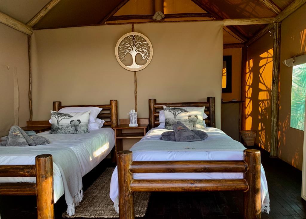 Leopard Hunting in Namibia & Brown Hyena Cancelation Hunt