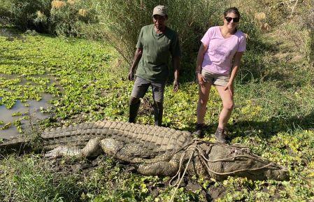 Leopard Hunting in Namibia & Brown Hyena Cancelation Hunt