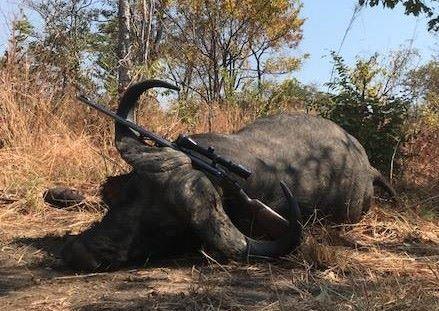 Leopard Hunting in Namibia & Brown Hyena Cancelation Hunt