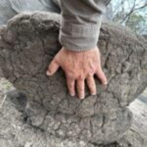 Leopard Hunting in Namibia & Brown Hyena Cancelation Hunt