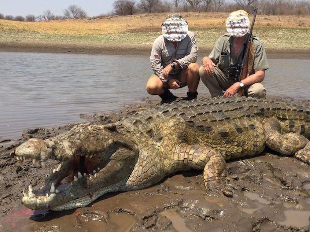 Discounted Crocodile Hunt in Matetsi ECA, Zimbabwe   