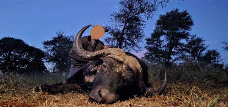 Leopard Hunting in Namibia & Brown Hyena Cancelation Hunt