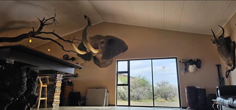 Leopard Hunting in Namibia & Brown Hyena Cancelation Hunt