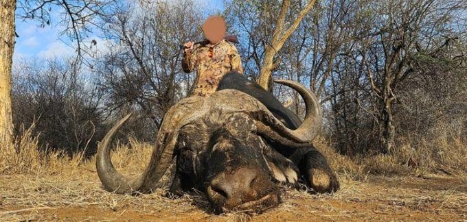 Leopard Hunting in Namibia & Brown Hyena Cancelation Hunt