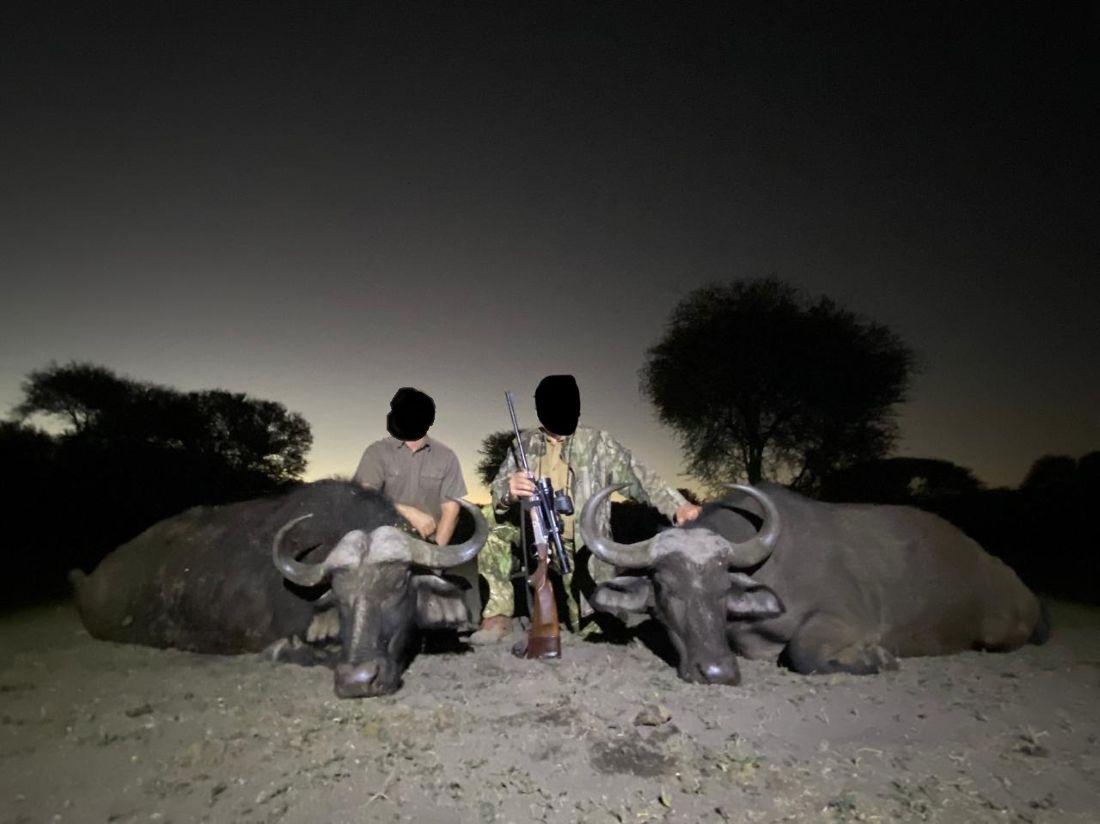 Leopard Hunting in Namibia & Brown Hyena Cancelation Hunt