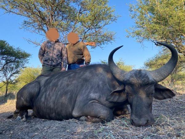 Leopard Hunting in Namibia & Brown Hyena Cancelation Hunt