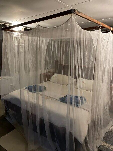 Leopard Hunting in Namibia & Brown Hyena Cancelation Hunt