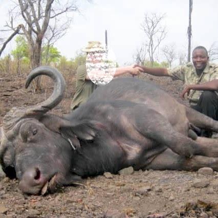 Leopard Hunting in Namibia & Brown Hyena Cancelation Hunt