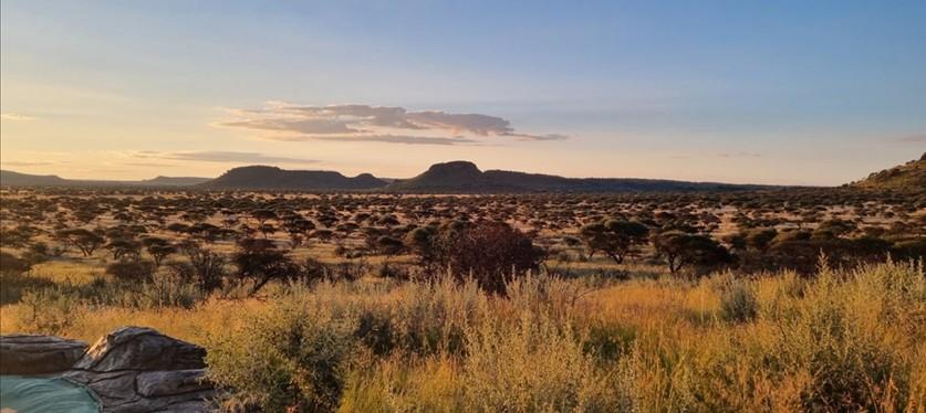 Leopard Hunting in Namibia & Brown Hyena Cancelation Hunt