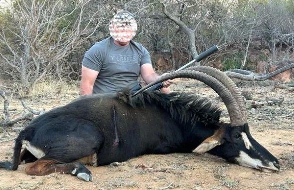 Leopard Hunting in Namibia & Brown Hyena Cancelation Hunt