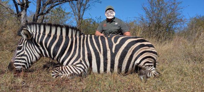 Plains Game Hunt in South Africa 8 x Trophy Animals