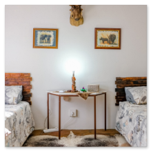 Leopard Hunting in Namibia & Brown Hyena Cancelation Hunt