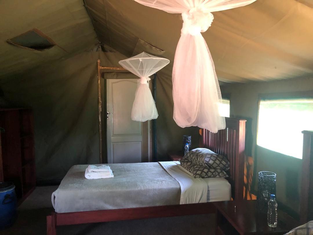 Leopard Hunting in Namibia & Brown Hyena Cancelation Hunt