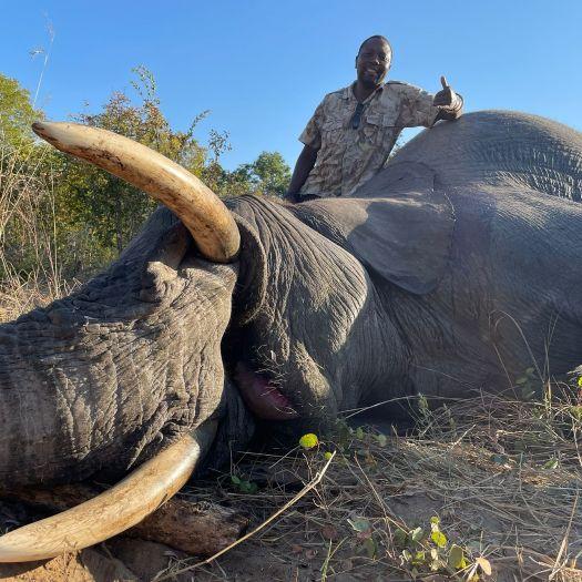 Leopard Hunting in Namibia & Brown Hyena Cancelation Hunt