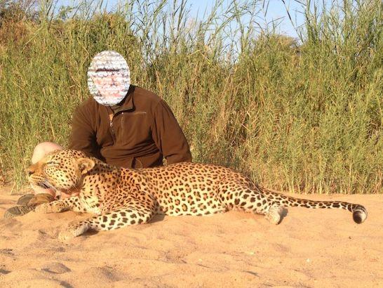 Leopard Hunting in Namibia & Brown Hyena Cancelation Hunt