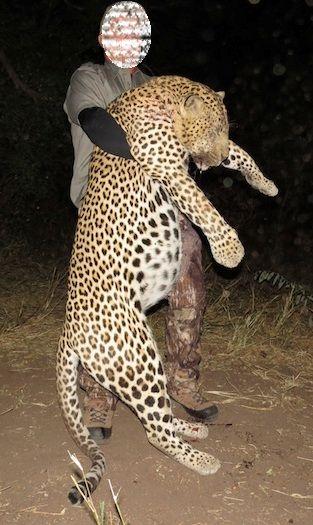 Leopard Hunting in Namibia & Brown Hyena Cancelation Hunt