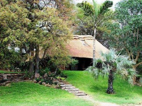 Leopard Hunting in Namibia & Brown Hyena Cancelation Hunt