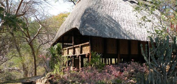 Leopard Hunting in Namibia & Brown Hyena Cancelation Hunt