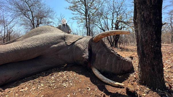 Leopard Hunting in Namibia & Brown Hyena Cancelation Hunt