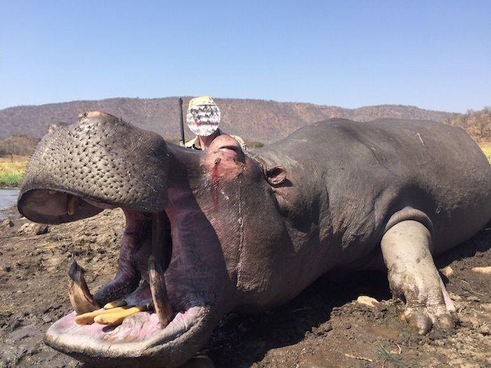 Leopard Hunting in Namibia & Brown Hyena Cancelation Hunt