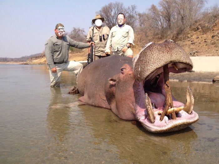 Leopard Hunting in Namibia & Brown Hyena Cancelation Hunt