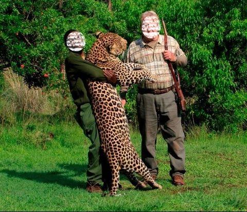 Leopard Hunting in Namibia & Brown Hyena Cancelation Hunt