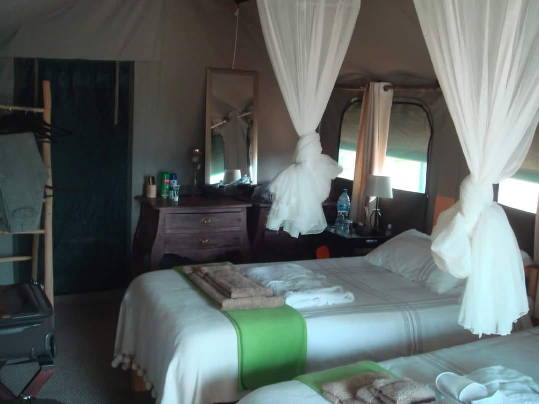 Leopard Hunting in Namibia & Brown Hyena Cancelation Hunt