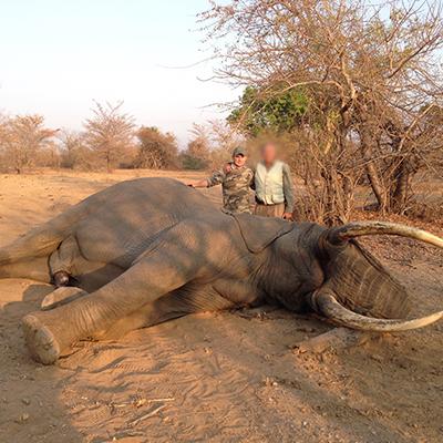 Leopard Hunting in Namibia & Brown Hyena Cancelation Hunt