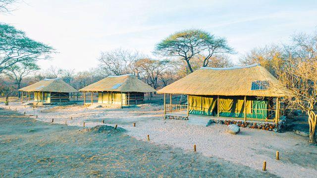 Leopard Hunting in Namibia & Brown Hyena Cancelation Hunt