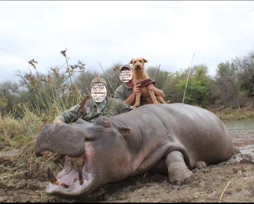 Leopard Hunting in Namibia & Brown Hyena Cancelation Hunt