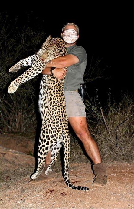 Leopard Hunting in Mozambique, Untamed Niassa Province 