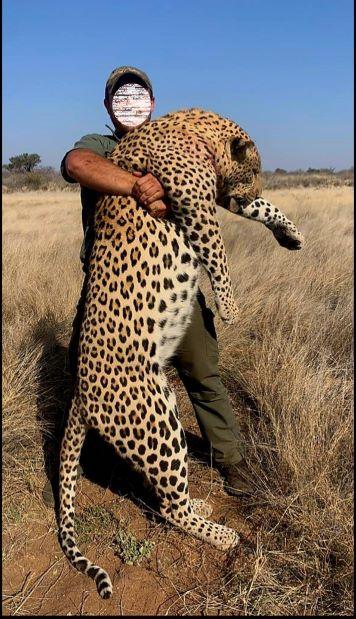 Leopard Hunting in Namibia & Brown Hyena Cancelation Hunt