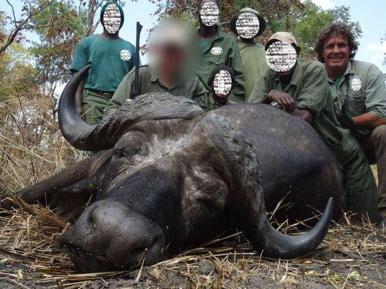 Big game hunting in Tanzania, Cape Buffalo & Plains Game