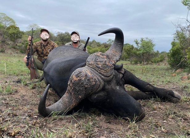 Leopard Hunting in Namibia & Brown Hyena Cancelation Hunt