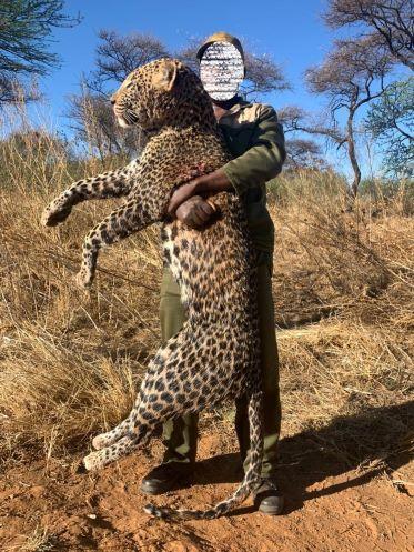 Leopard Hunting in Namibia & Brown Hyena Cancelation Hunt