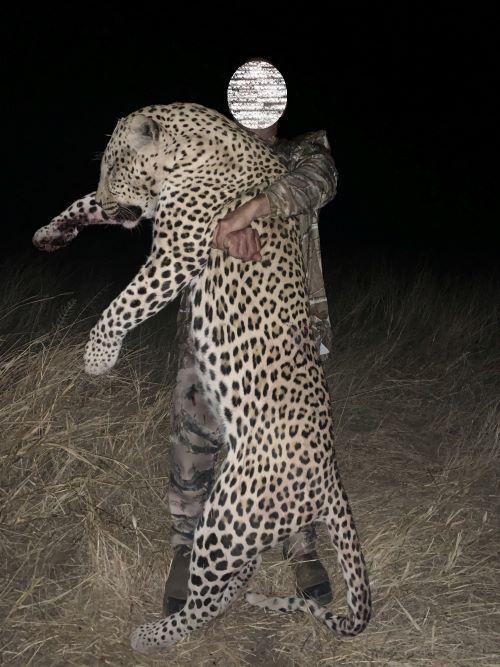 Leopard Hunting in Namibia & Brown Hyena Cancelation Hunt