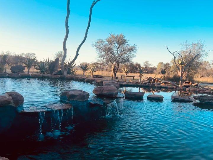 Leopard Hunting in Namibia & Brown Hyena Cancelation Hunt