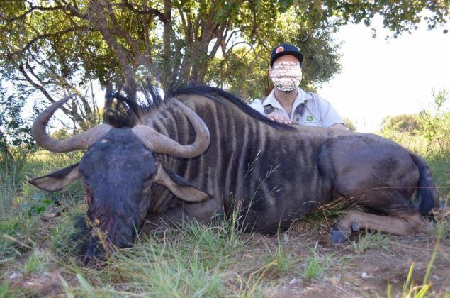 Leopard Hunting in Namibia & Brown Hyena Cancelation Hunt