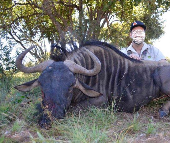 Unbelievable Plains Game Hunting in South Africa 7 Days