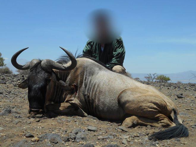 Leopard Hunting in Namibia & Brown Hyena Cancelation Hunt