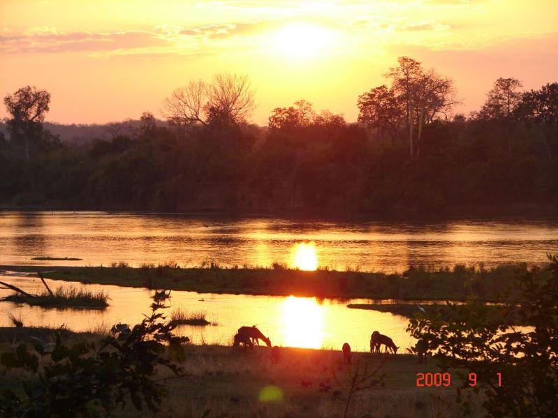 Leopard Hunting in Namibia & Brown Hyena Cancelation Hunt