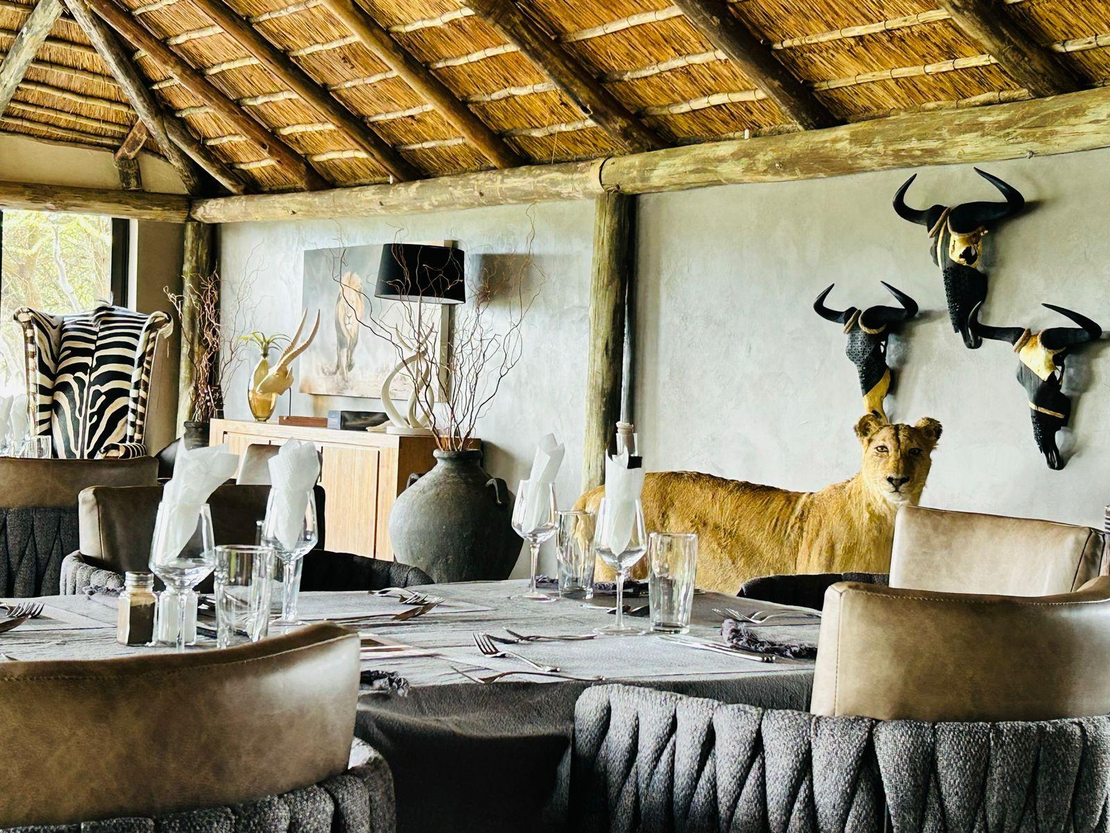 Leopard Hunting in Namibia & Brown Hyena Cancelation Hunt